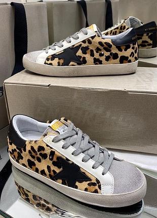 Кеди жіночі golden goose superstar леопард