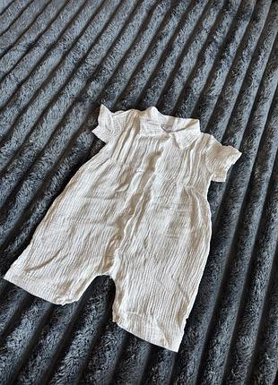 Мусліновий пісочник