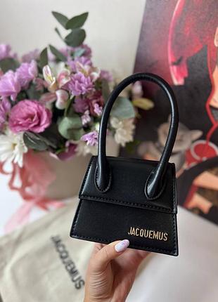 Сумочка джакмюс міні
