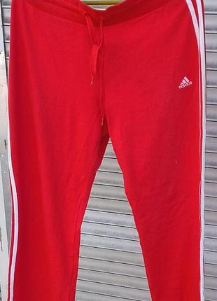 Спортивные штаны adidas лето