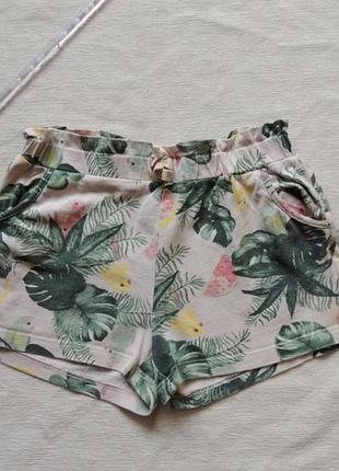 Шорты 4-6 лет