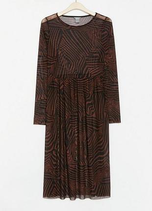 Прозора сукня сітка зебра