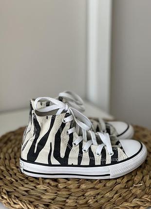 Кеди converse all star chuk taylor zebra оригінал