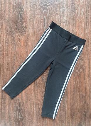 Лосини легінси adidas