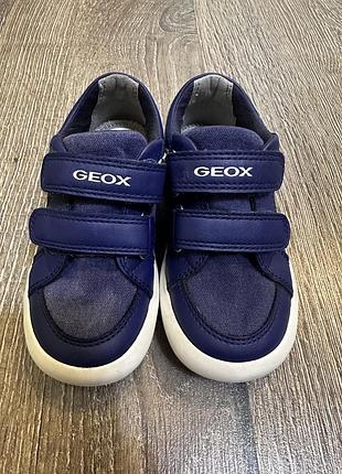 Кеди geox 23 розмір