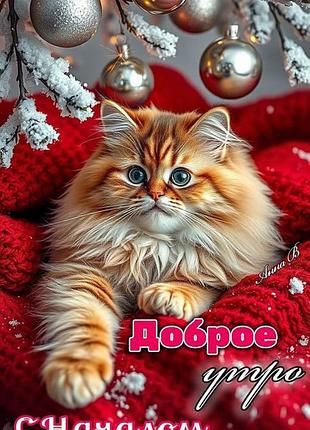 Шукаю роботу на дому