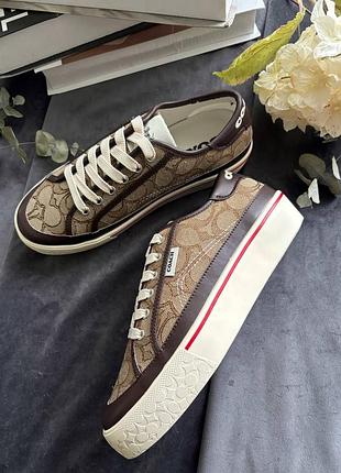 Кеди coach