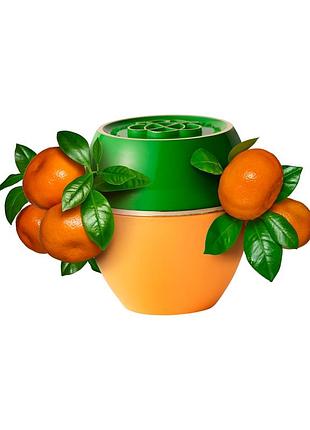 Спеціальний пом'якшувальний засіб з екстрактом мандарина