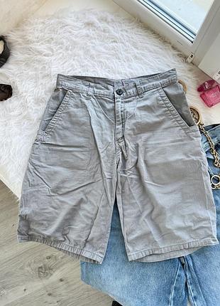 Сірі шорти dickies