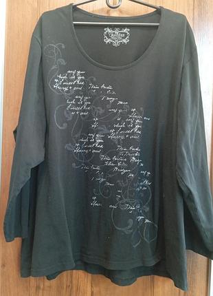 Реглан, лонгслів батал