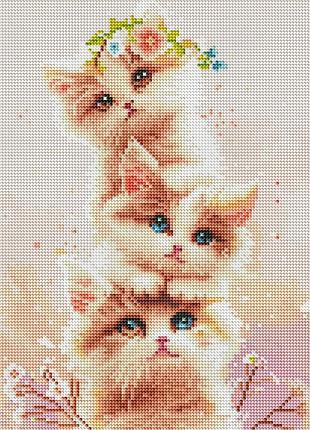 Алмазна мозаїка на дерев'яному підрамнику три кошенятка rdbs7015