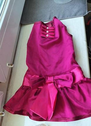 Сукня для невеличкої собачки, розмір-s-m