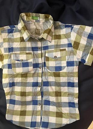 Теніска, сорочка для хлопчика