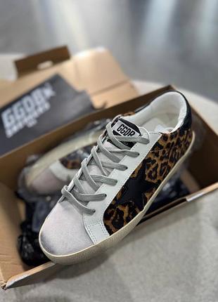 Кеди в стилі golden goose