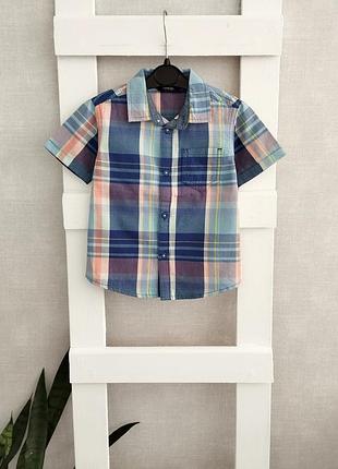 Теніска на 1,5-2р
довж.39
состояние отм.
💳50