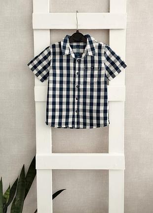 Теніска на 1,5-2р
довж.38
состояние отм.
💳50