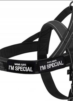 Шлейка для собак i am special светоотражающая с защитой от побега, регулируемая размер м