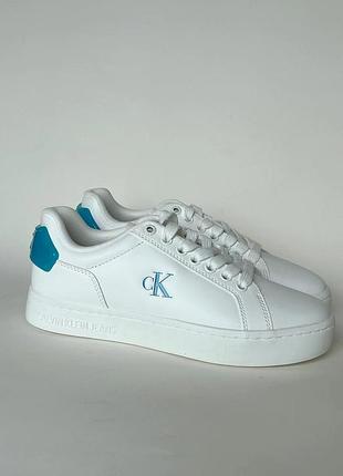 Кеди vortex klein  кеды кросівки кроссовки