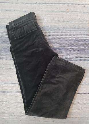 Штаны бархатные