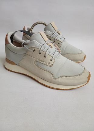 Кросівки clarks