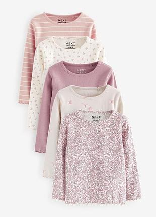 Реглан і лосини (комплект)