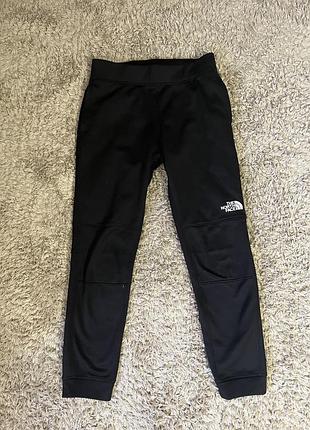 Спортивные штаны the north face