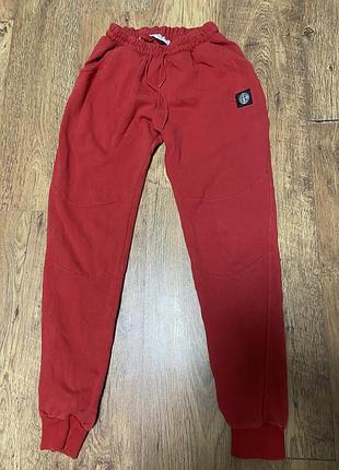 Stone island-штани спортивні