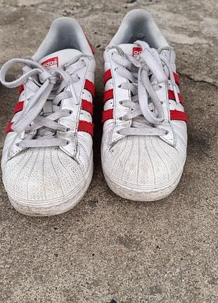 Кроссовки адидас суперстар / release adidas superstar