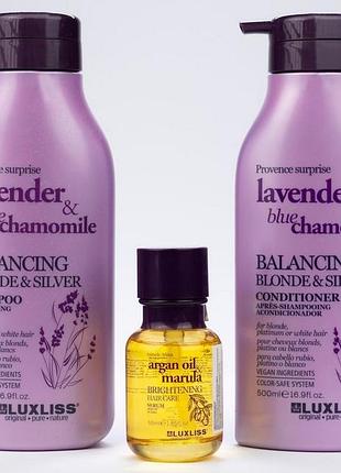 Набір для фарбованого або освітленого волосся luxliss balancing blonde&silver