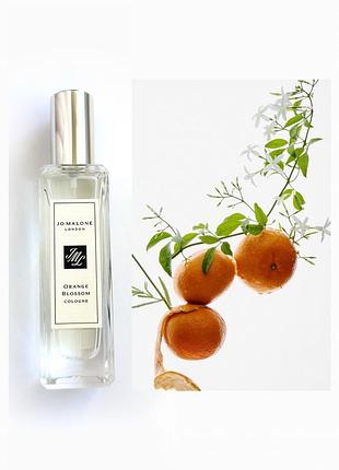 Парфуми estée lauder advanced night repair
