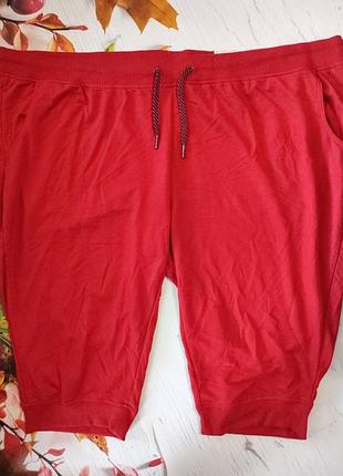 Бриджі жіночі трикотажні esmara