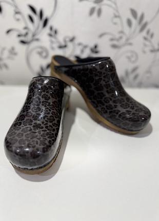 Жіночі шкіряні шльопанці клоги sanita, 39-40р