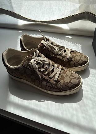 Кеди coach
