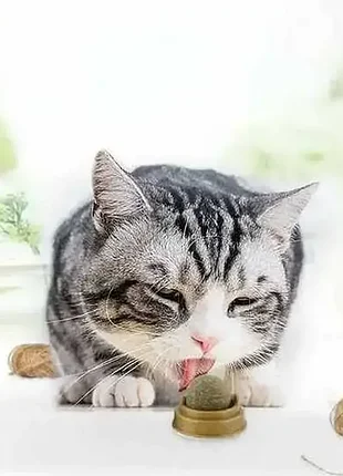 Кошачья игрушка для кошек мятная шарик кошачий леденец
