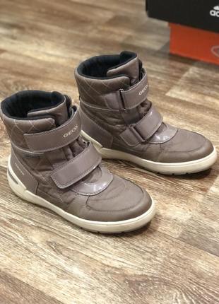 Продам зимние ботинки geox, 35 р.