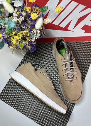 Оригінальні кросівки clarks
