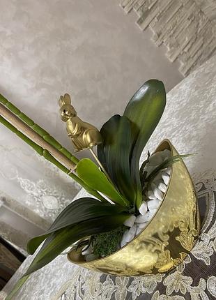 Латексная орхидея