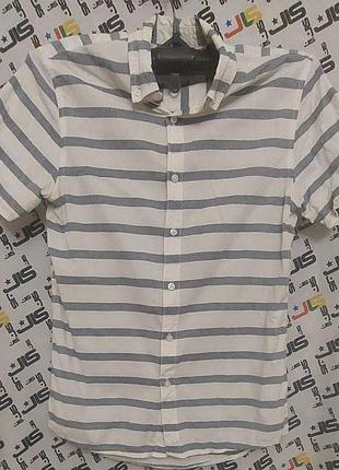 Чоловіча шведка