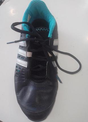 Кросівки жіночі