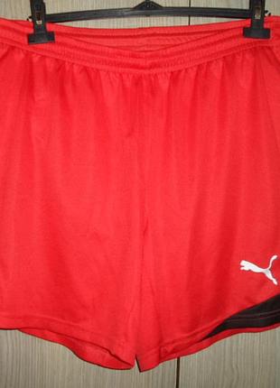 Шорты спортивные puma размер m/l