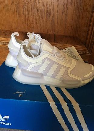 Кросівки adidas
