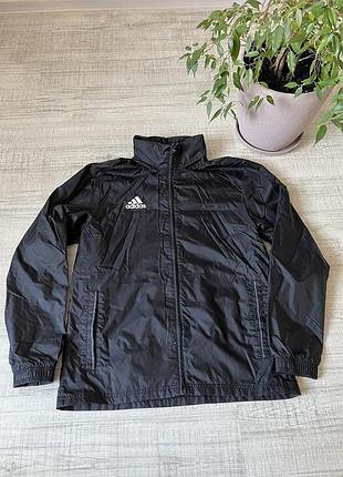 Чоловіча вітровка adidas