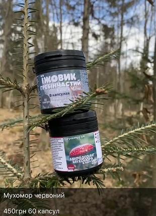 Їжовик+мухомор