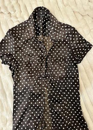 Блуза в горошок amisu м розмір