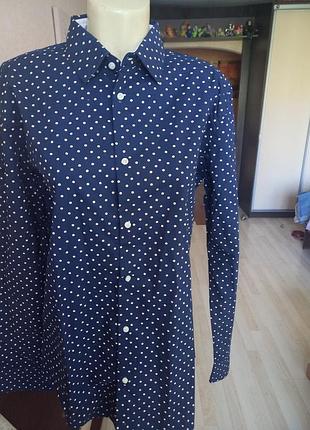 Рубашка zara man slim fit - синяя в светлый горошек, 100% коттон, m-l./