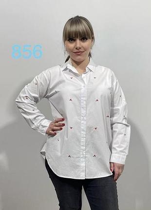 Сорочка біла в сердечко