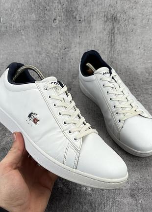 Чоловічі кросівки кеди lacoste