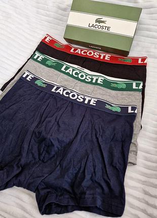 Чоловічі боксери lacoste розмір м, набір або поштучно lacoste мужские боксёры