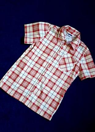 Рубашка yigga германия хлопковая летняя в клетку на 13-14 лет