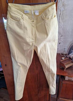 Штани жіночі